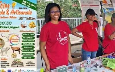 Stand DEAL de prévention risques naturels à la foire agricole et artisanale de RIVIÈRE PILOTE